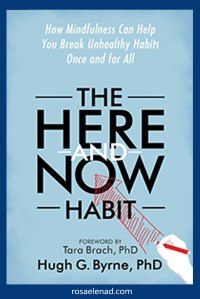 The Here and Now Habit Book Cover