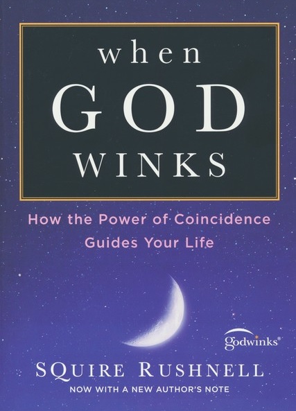 When God Winks Book Cover